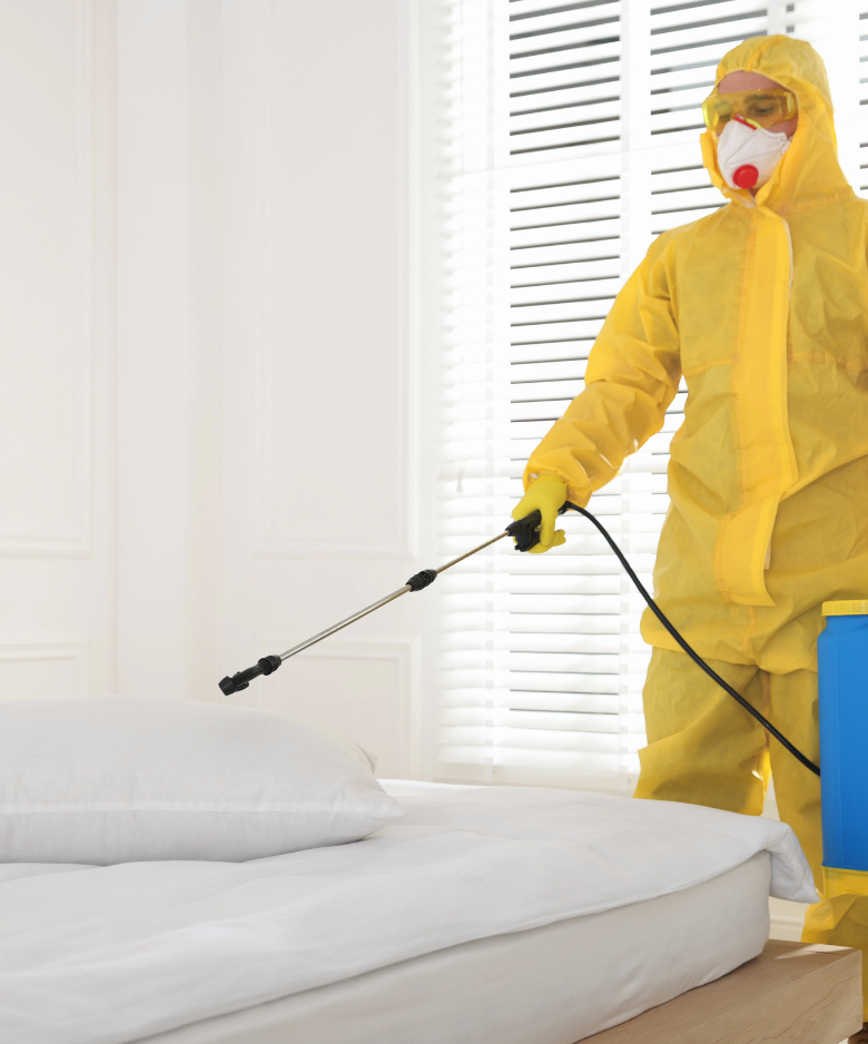 Professional Pest Control Team in Brompton